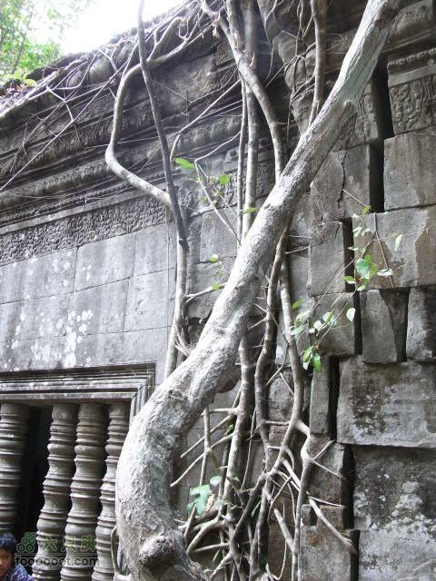 六只脚最长行程——柬埔寨暹粒四日游全程记录RIMG0371