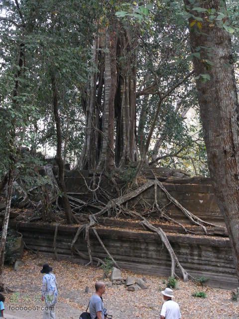 六只脚最长行程——柬埔寨暹粒四日游全程记录RIMG0379