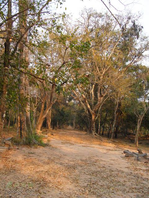 六只脚最长行程——柬埔寨暹粒四日游全程记录RIMG0418