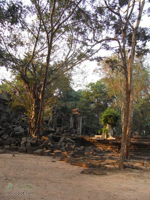 六只脚最长行程——柬埔寨暹粒四日游全程记录RIMG0420