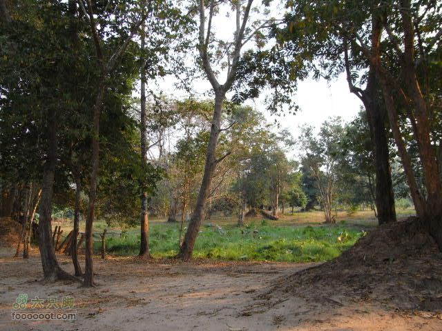 六只脚最长行程——柬埔寨暹粒四日游全程记录RIMG0426