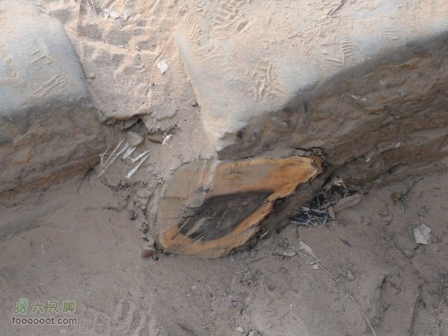 六只脚最长行程——柬埔寨暹粒四日游全程记录RIMG0430