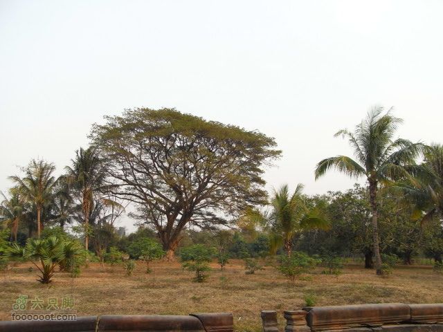 六只脚最长行程——柬埔寨暹粒四日游全程记录RIMG0438