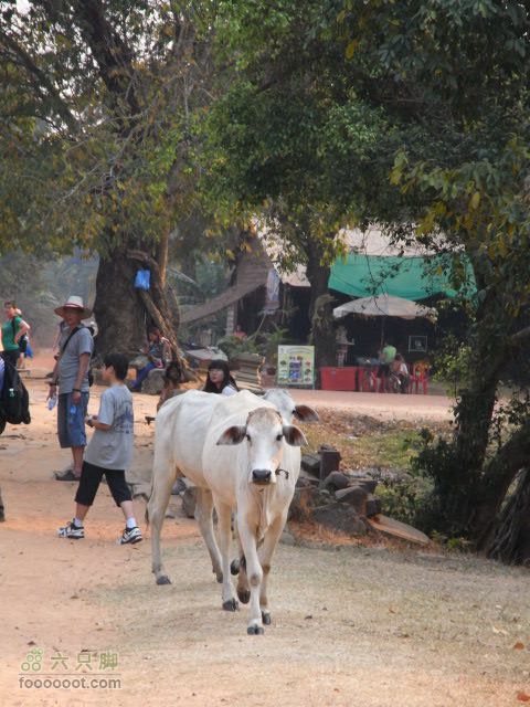 六只脚最长行程——柬埔寨暹粒四日游全程记录RIMG0442