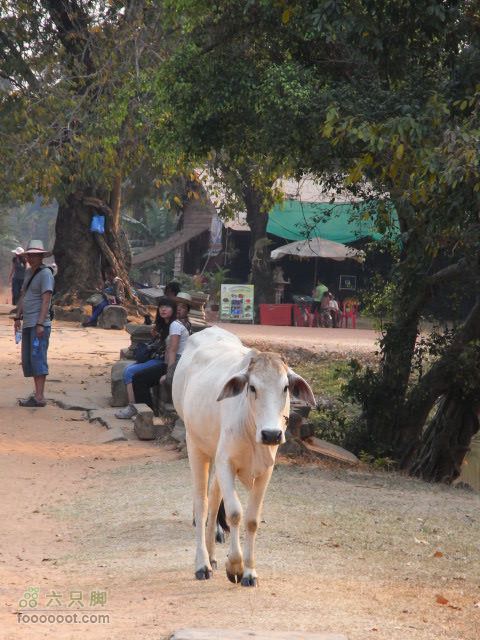 六只脚最长行程——柬埔寨暹粒四日游全程记录RIMG0444