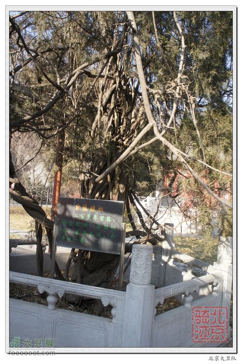 北京骑迹33 寻岩石绝壁上的石佛  访北京最古老的古寺nEO_IMG_DSC00562