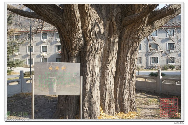 北京骑迹33 寻岩石绝壁上的石佛  访北京最古老的古寺nEO_IMG_DSC00564