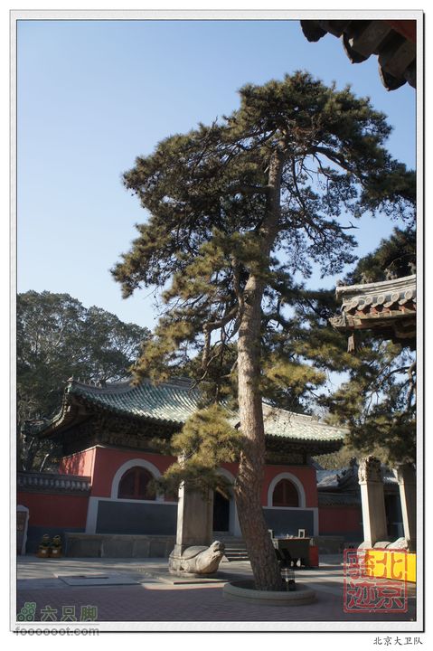 北京骑迹33 寻岩石绝壁上的石佛  访北京最古老的古寺nEO_IMG_DSC00585