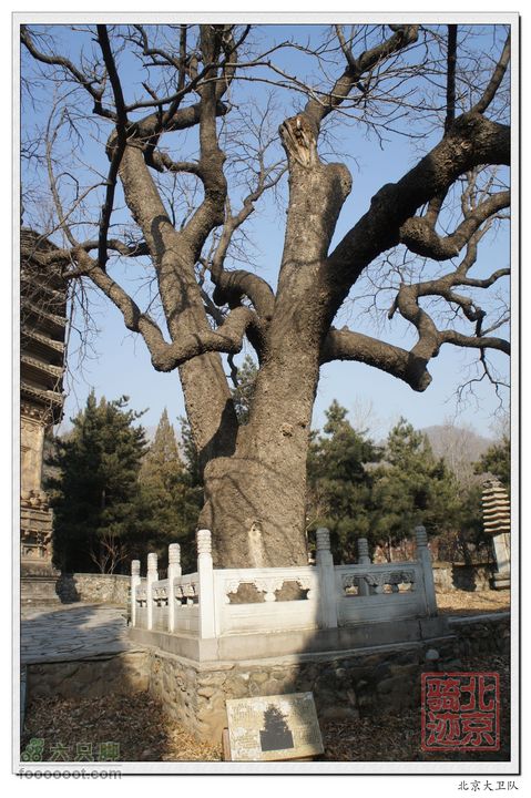 北京骑迹33 寻岩石绝壁上的石佛  访北京最古老的古寺nEO_IMG_DSC00607
