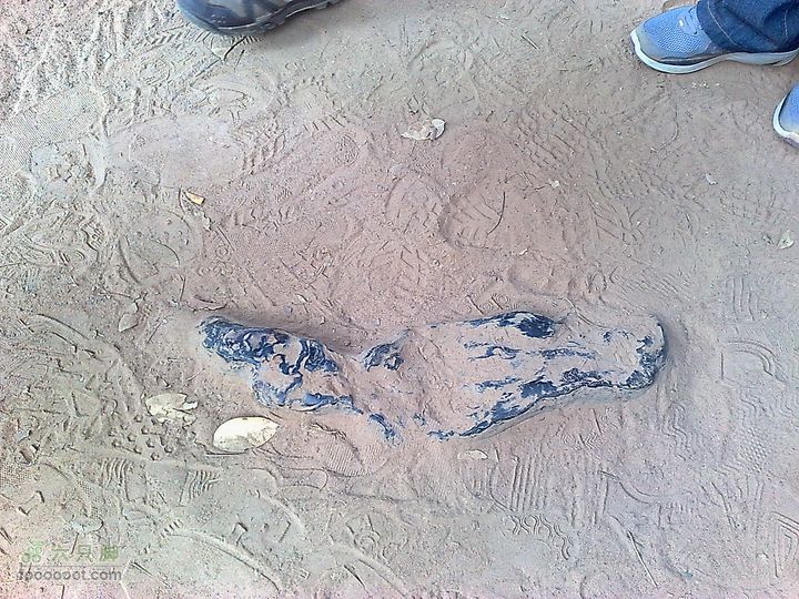 六只脚最长行程——柬埔寨暹粒四日游全程记录201101282439