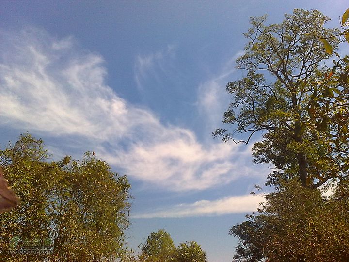 六只脚最长行程——柬埔寨暹粒四日游全程记录201101282498