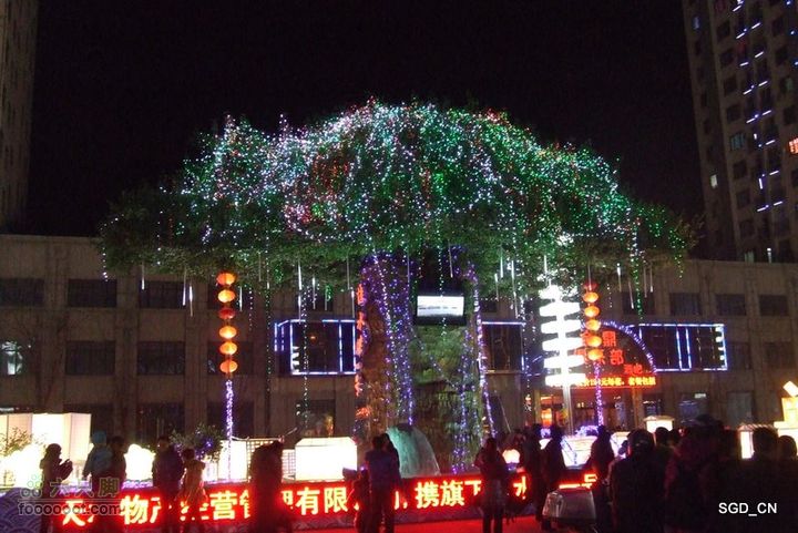 十五灯会DSCF6432-1