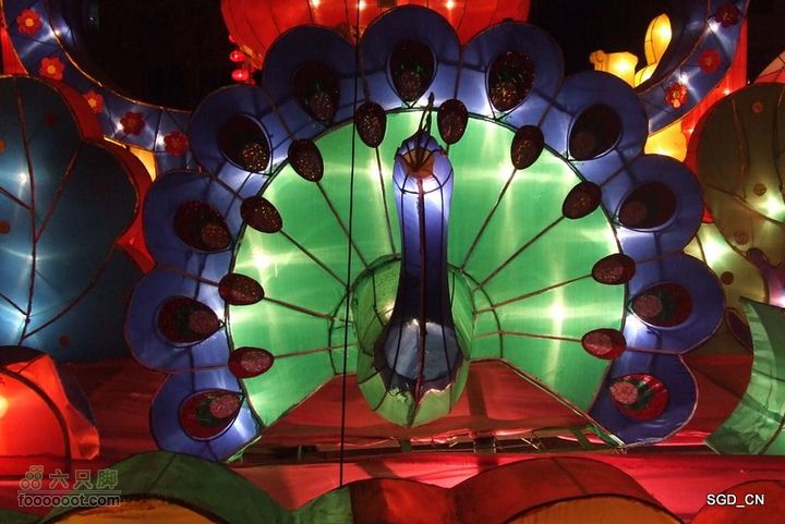 十五灯会DSCF6545-1
