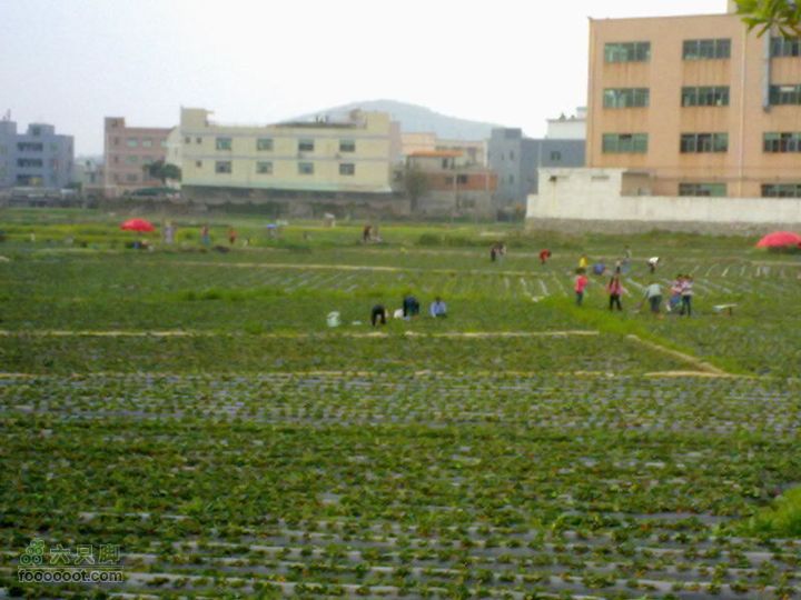 110227_坪地找同學20110227309