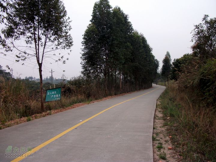 20110305广东3号绿道(苏村-罗阳-江北段)双向车道的村道比很少有机动车