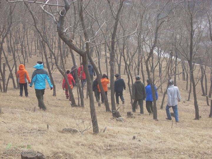 兵山户外周六转山DSCN9907_眸目压缩