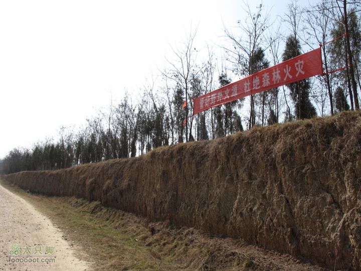 2011-3-12独骑白鹿塬IMG_0572