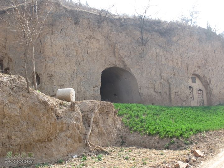 2011-3-12独骑白鹿塬废弃的窑洞