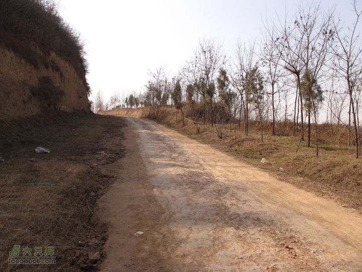 2011-3-12独骑白鹿塬IMG_0563