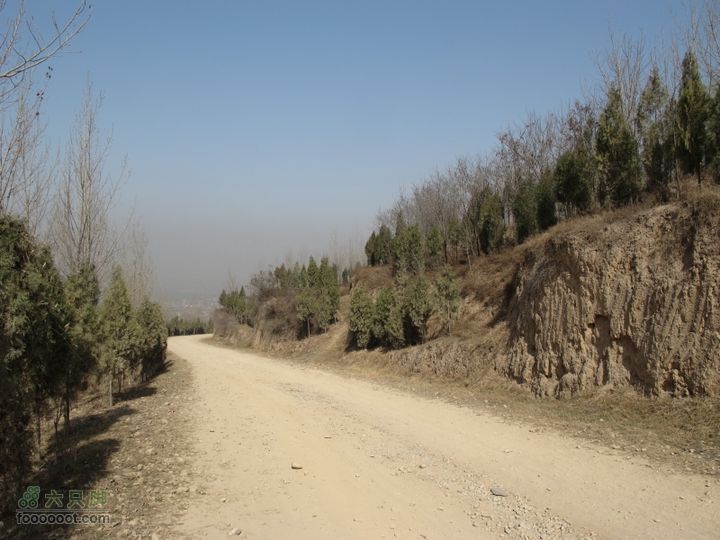 2011-3-12独骑白鹿塬能听见树林的鸟叫声