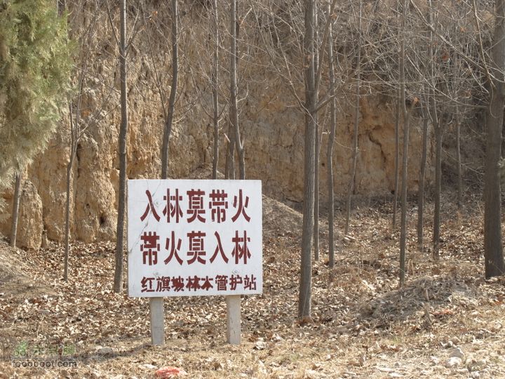 2011-3-12独骑白鹿塬IMG_0566