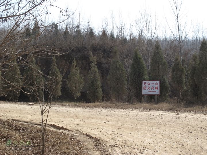 2011-3-12独骑白鹿塬风干物燥