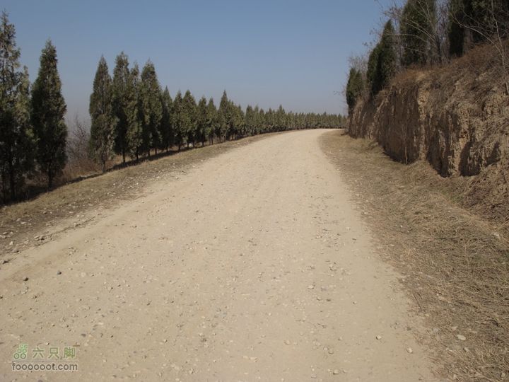 2011-3-12独骑白鹿塬IMG_0571
