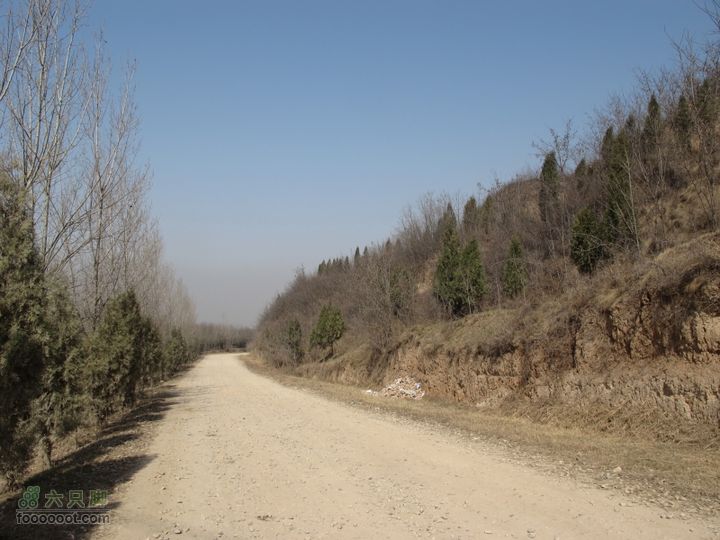 2011-3-12独骑白鹿塬IMG_0575