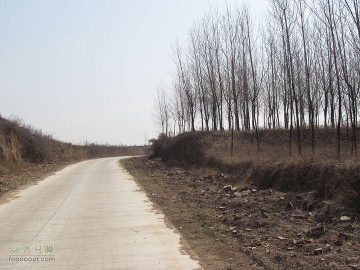 2011-3-12独骑白鹿塬IMG_0582