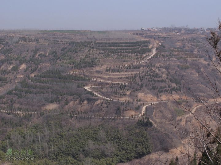 2011-3-12独骑白鹿塬没敢下去