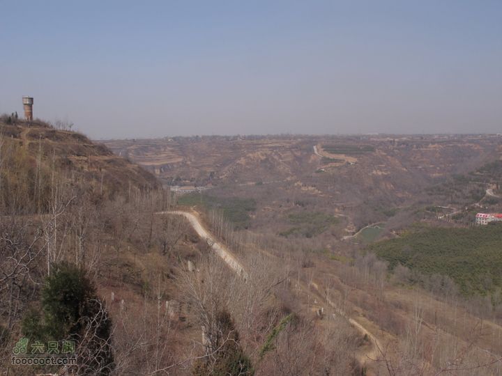 2011-3-12独骑白鹿塬IMG_0613