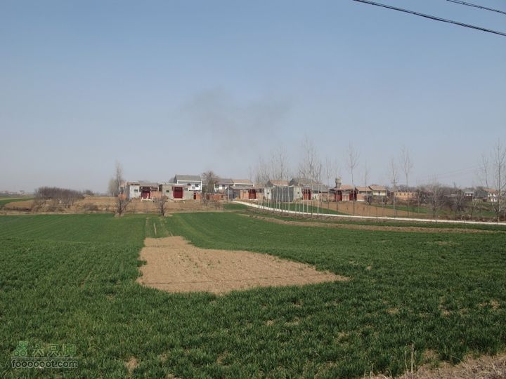 2011-3-12独骑白鹿塬IMG_0637