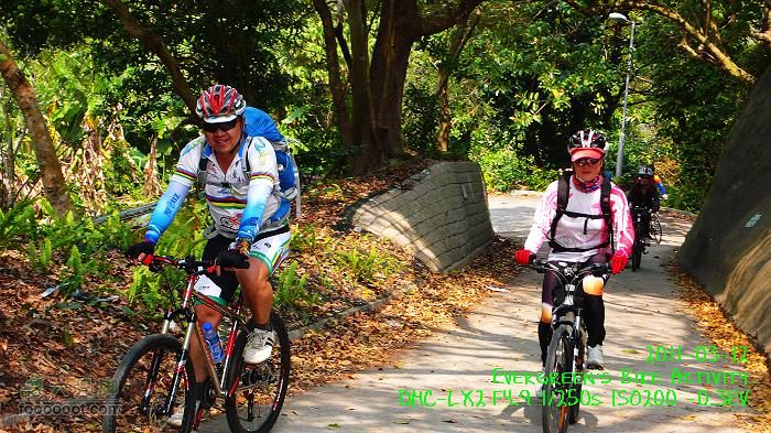 2011 03 12 九龍市區與港島P1370198