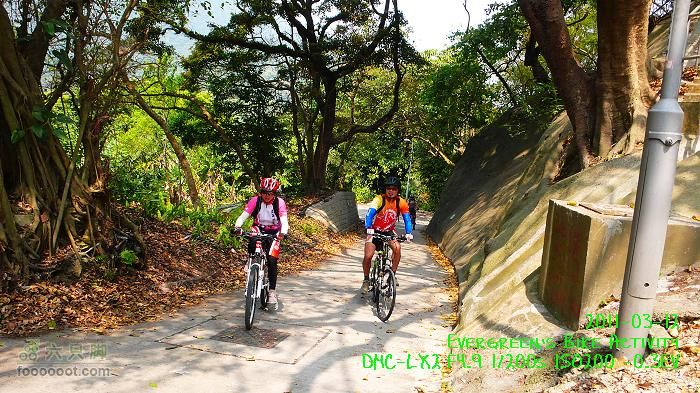 2011 03 12 九龍市區與港島P1370199