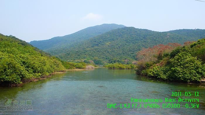 2011 03 12 九龍市區與港島P1370221