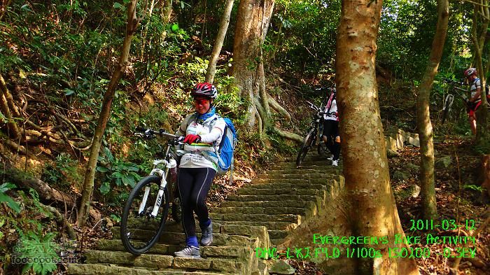 2011 03 12 九龍市區與港島P1370263