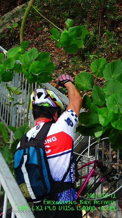 2011 03 12 九龍市區與港島P1370285