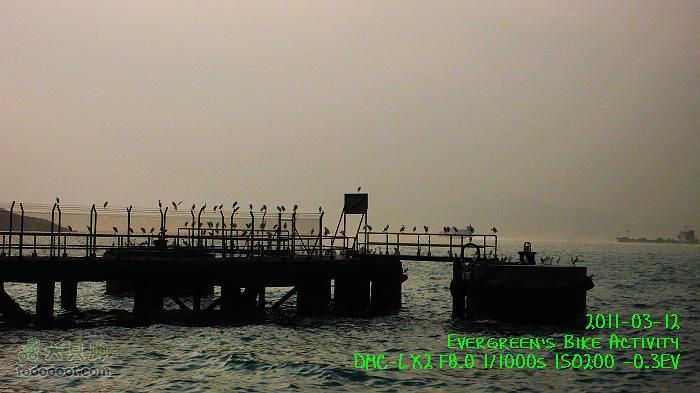 2011 03 12 九龍市區與港島P1370287
