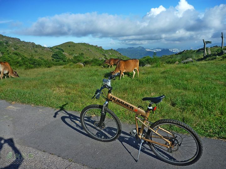 20100915大帽山荃灣aP1030733
