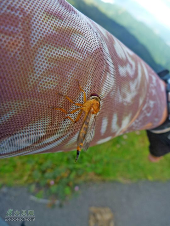 20100915大帽山荃灣aP1030760