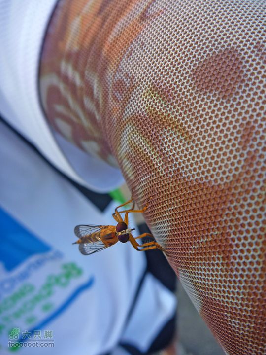 20100915大帽山荃灣aP1030761