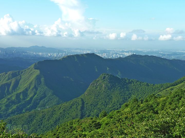 20100915大帽山荃灣aP1030773