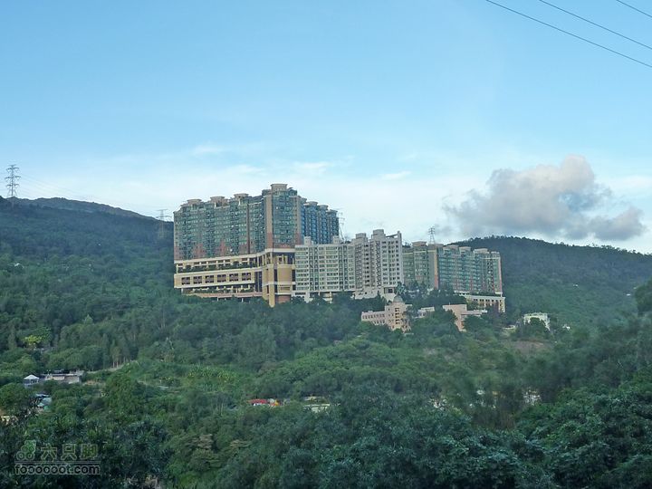 20100915大帽山荃灣aP1030779