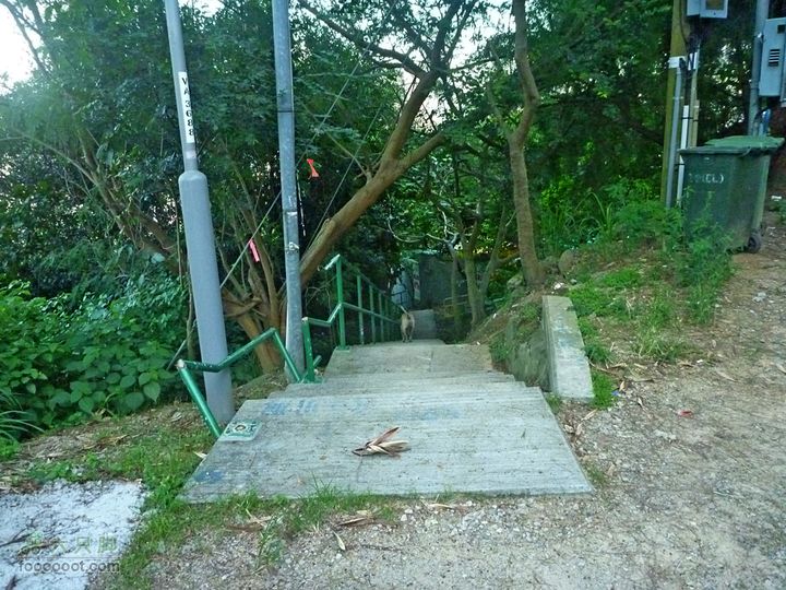 20100915大帽山荃灣aP1030780