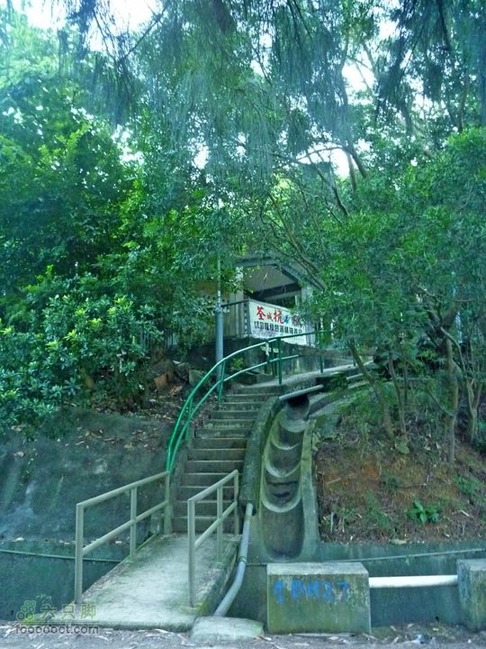 20100915大帽山荃灣aP1030781