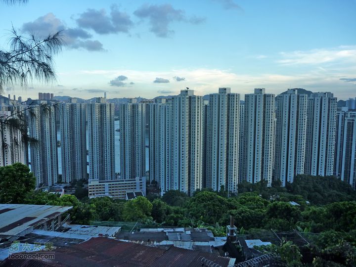 20100915大帽山荃灣aP1030782