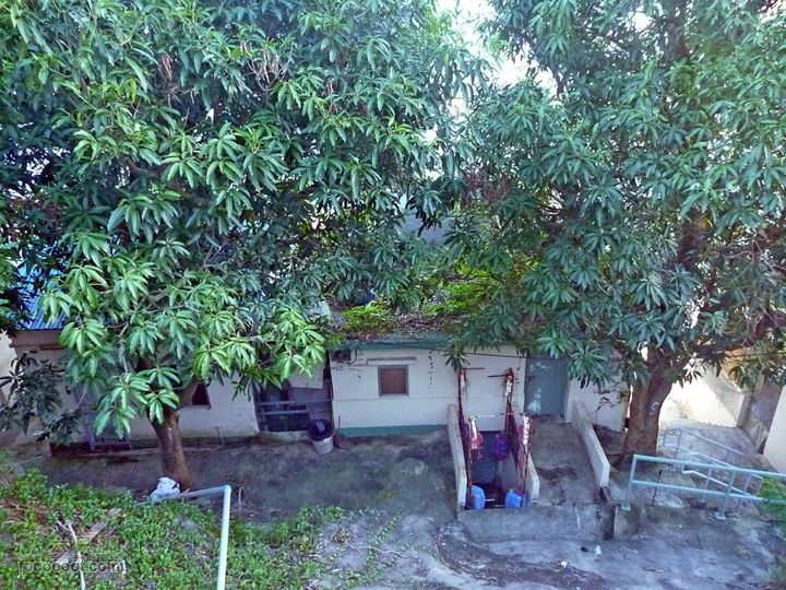 20100915大帽山荃灣aP1030787