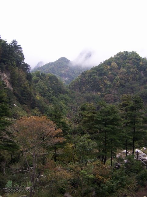 2007年国庆环东部秦岭100_6460