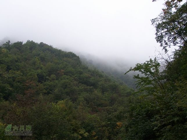 2007年国庆环东部秦岭100_6502