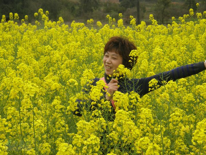 26日26网友从万福亭出发寻访江丰烈士P3260872